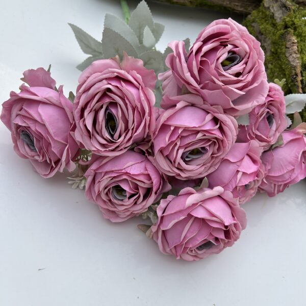 Троянда королівська бузкова