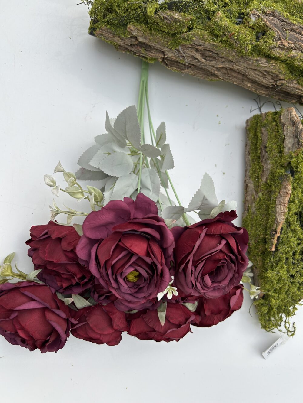 Троянда королівська бургунді - Зображення 3