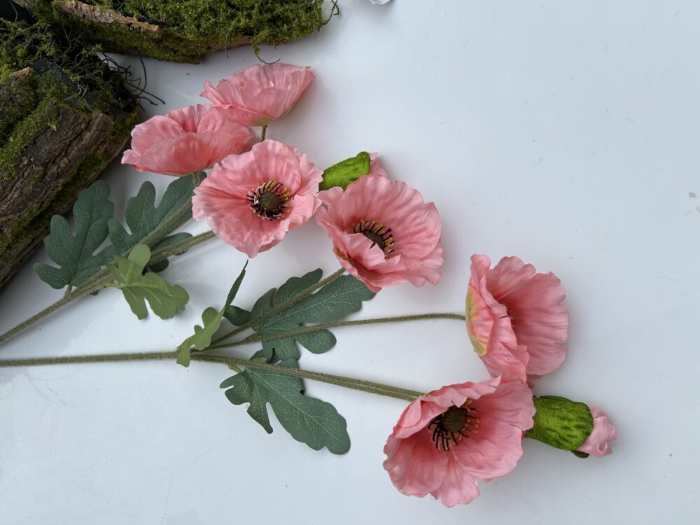 Анемон рожевий - Зображення 3