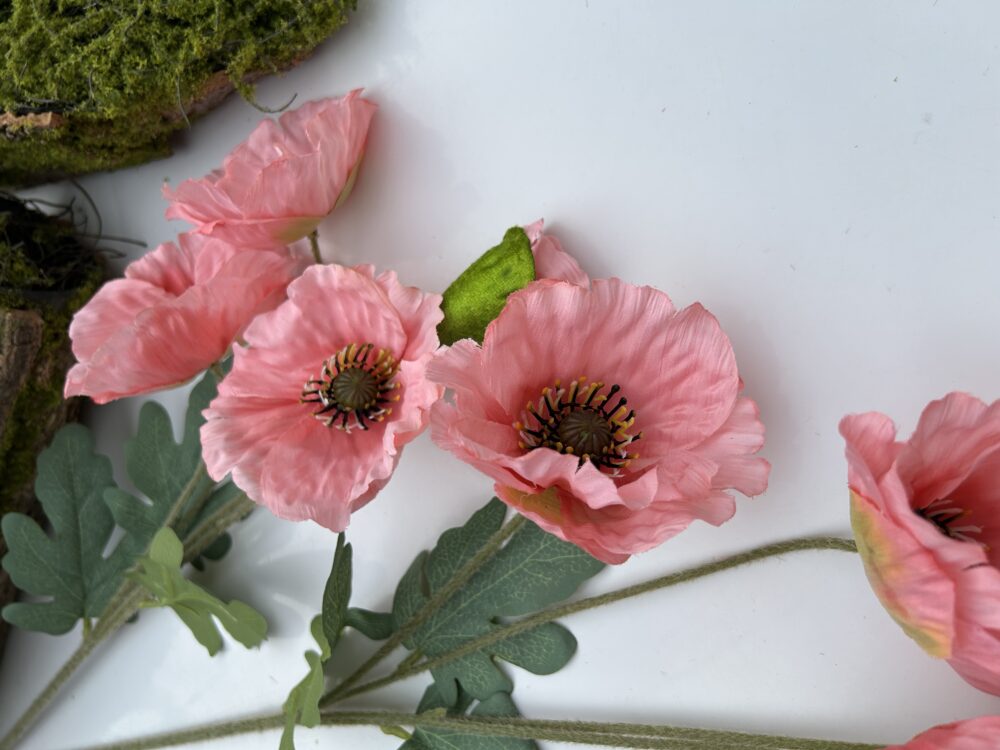 Анемон рожевий - Зображення 2