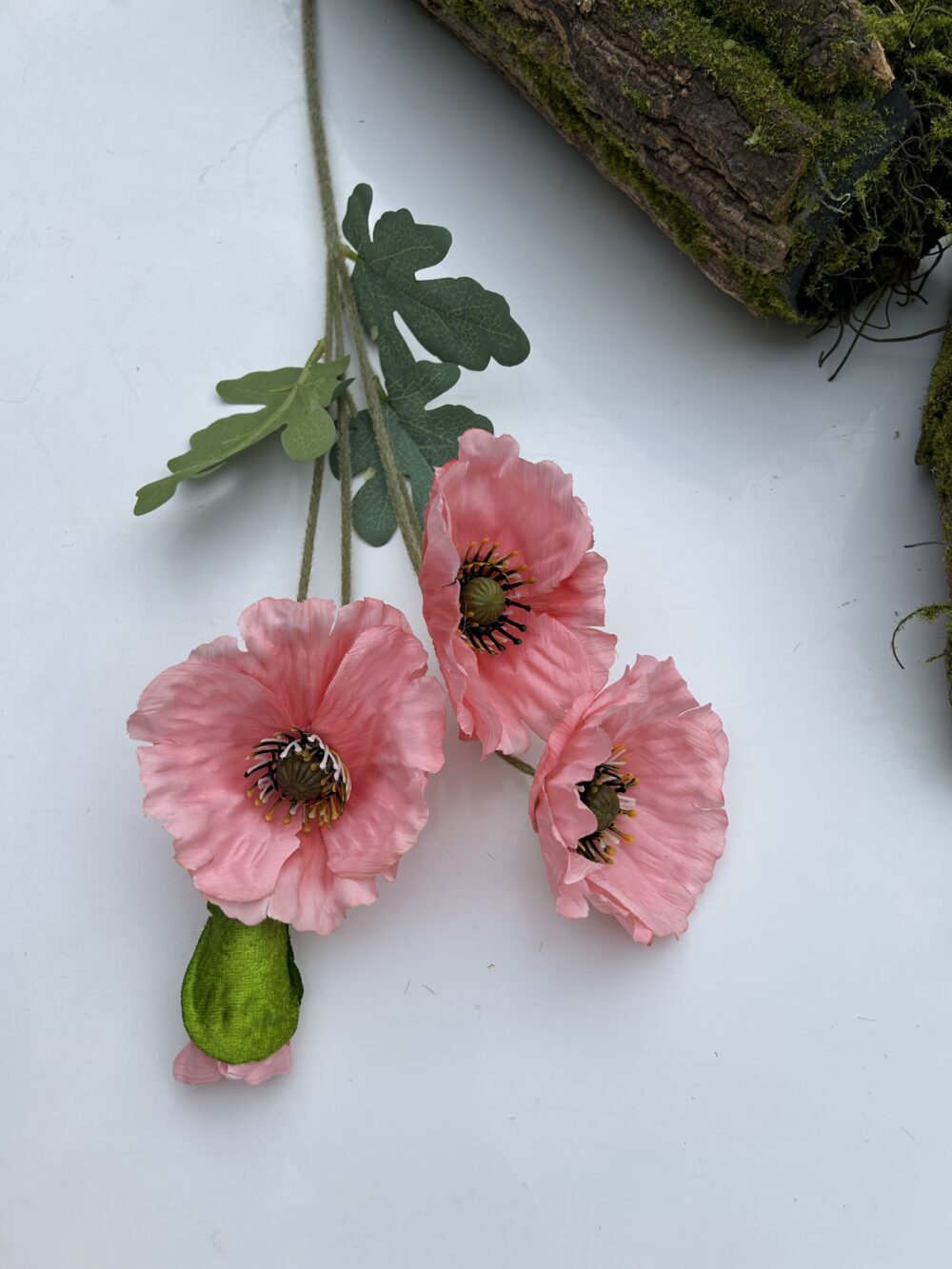 Анемон рожевий