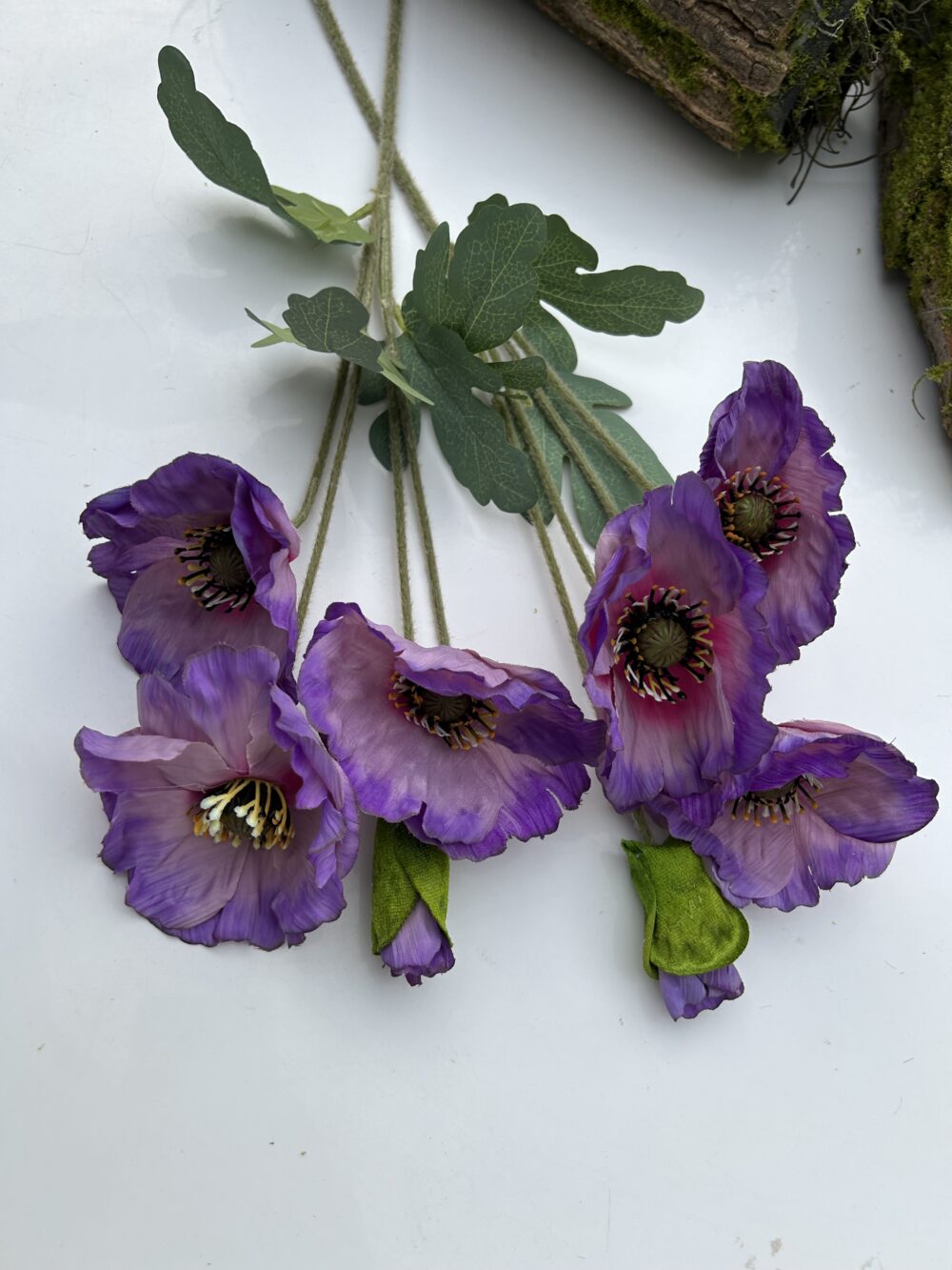 Анемон Фіалковий