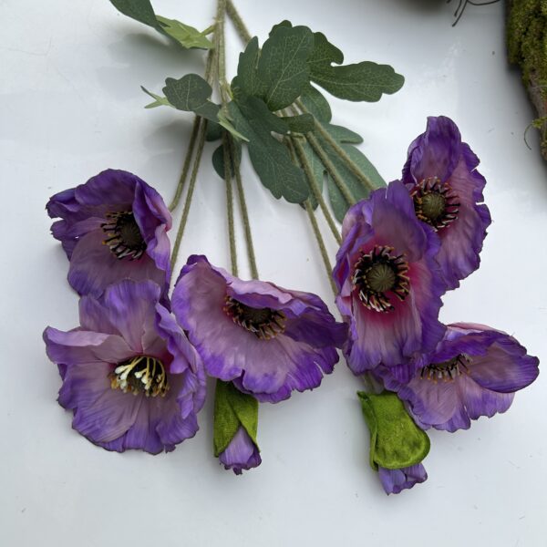 Анемон Фіалковий