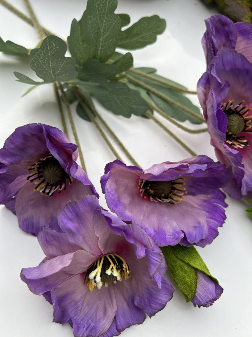 Анемон Фіалковий - Зображення 2