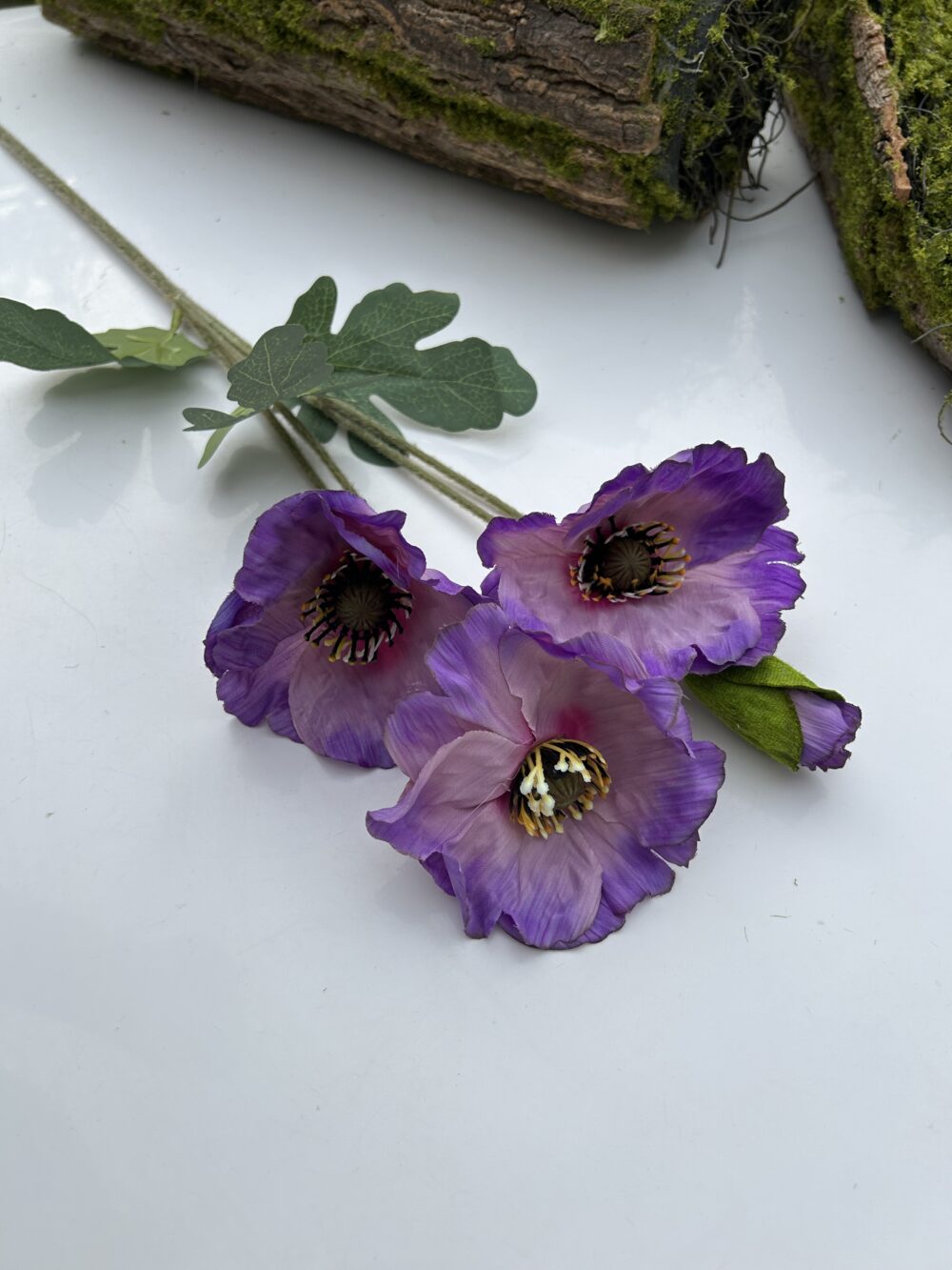 Анемон Фіалковий - Зображення 4