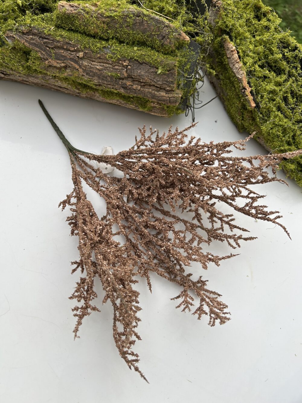 Кермек коричневий