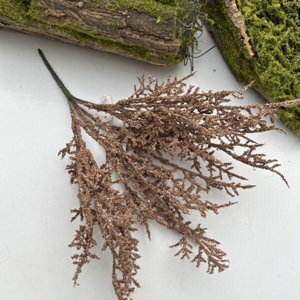 Кермек коричневий