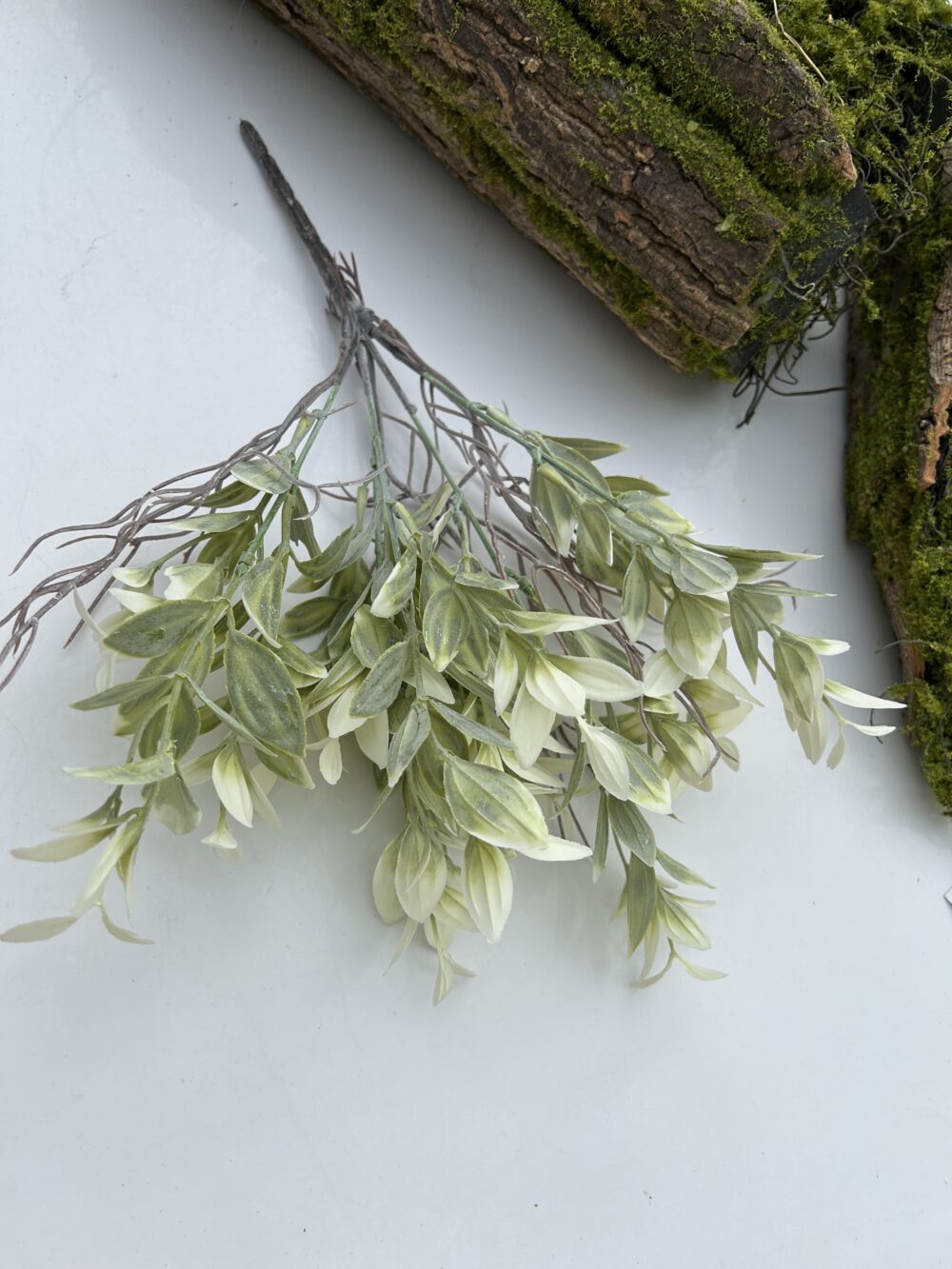 Рускус букетний білий