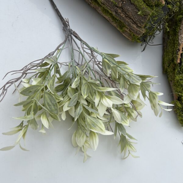 Рускус букетний білий