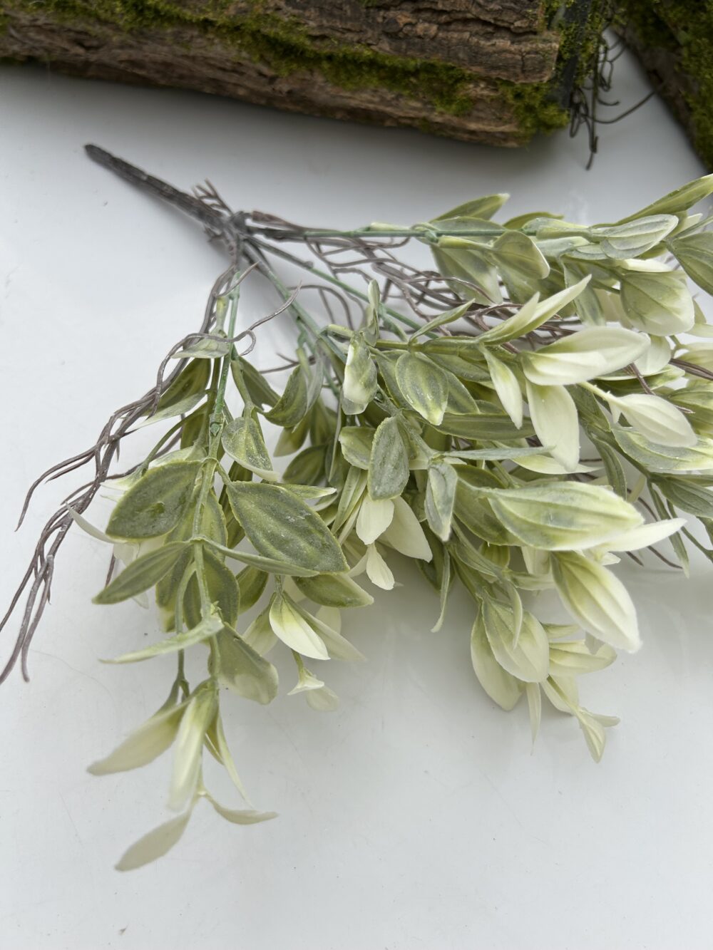 Рускус букетний білий - Зображення 2