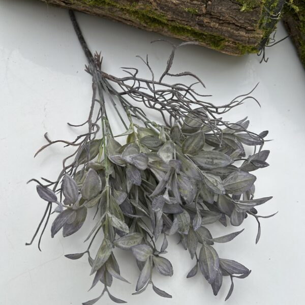 Рускус букетний сірий