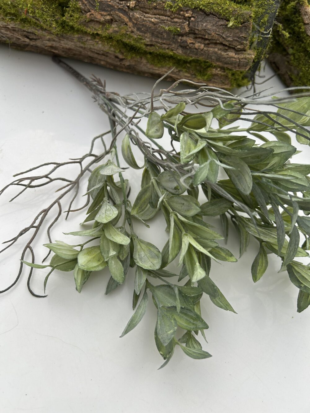 Рускус букетний зелений - Зображення 2