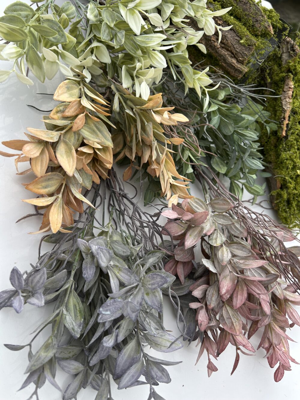 Рускус букетний помаранчевий - Зображення 3