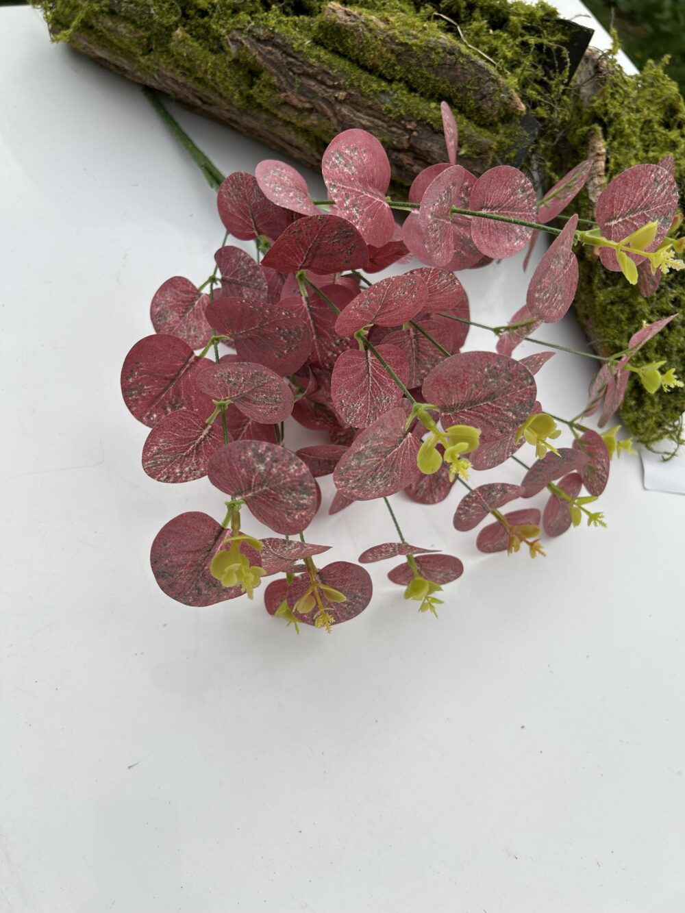 Кущ евкаліпту 12 гілочок червоний