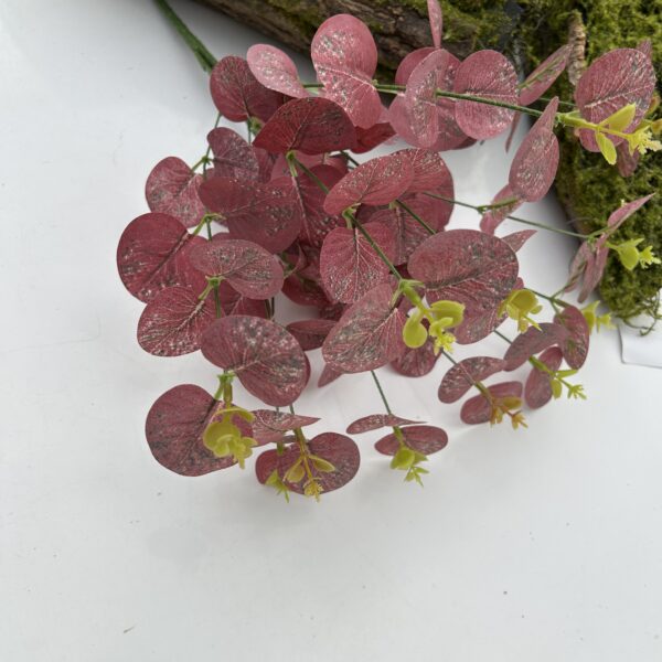 Кущ евкаліпту 12 гілочок червоний