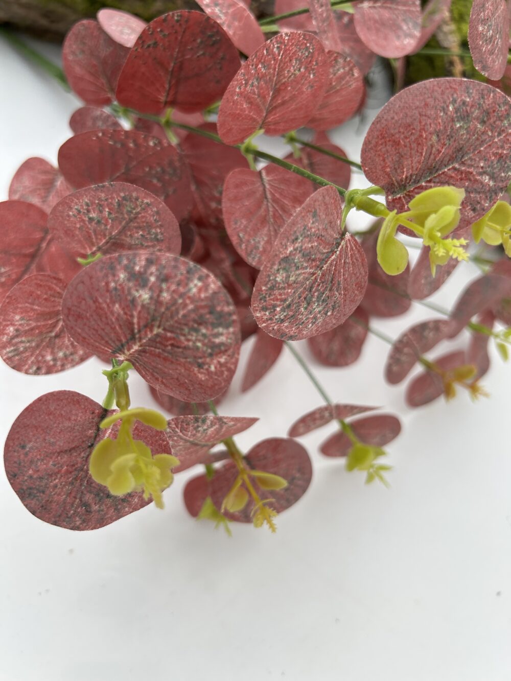 Кущ евкаліпту 12 гілочок червоний - Зображення 2