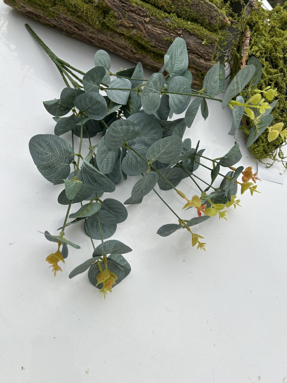 Кущ евкаліпту 12 гілочок пепельний