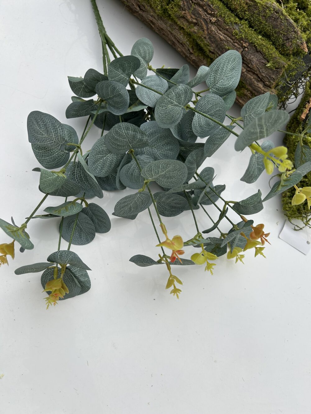 Кущ евкаліпту 12 гілочок пепельний - Зображення 3