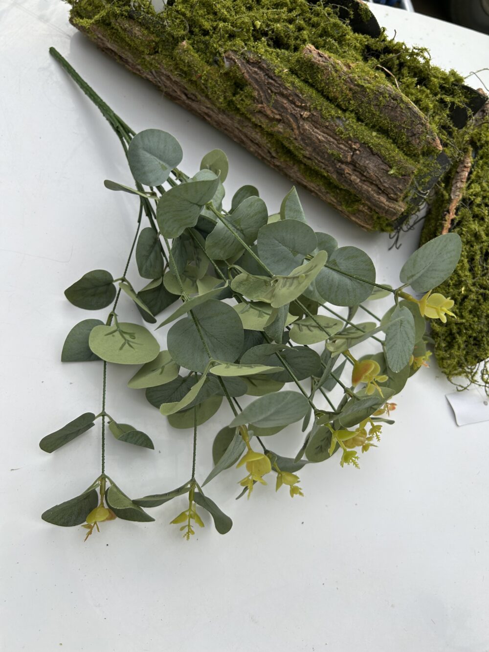 Кущ евкаліпту 12 гілочок зелений