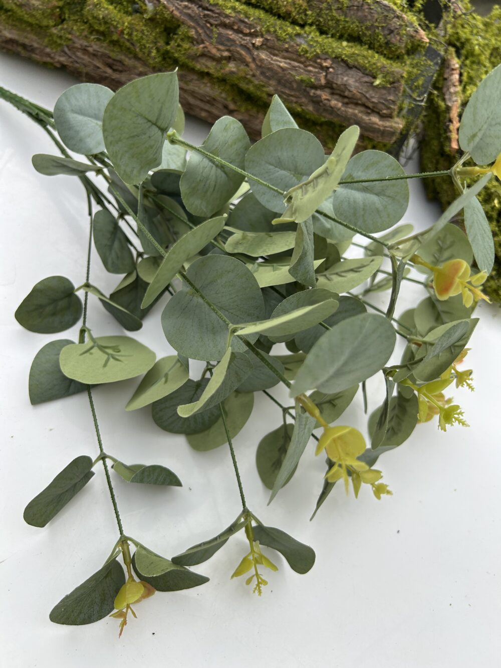 Кущ евкаліпту 12 гілочок зелений - Зображення 3