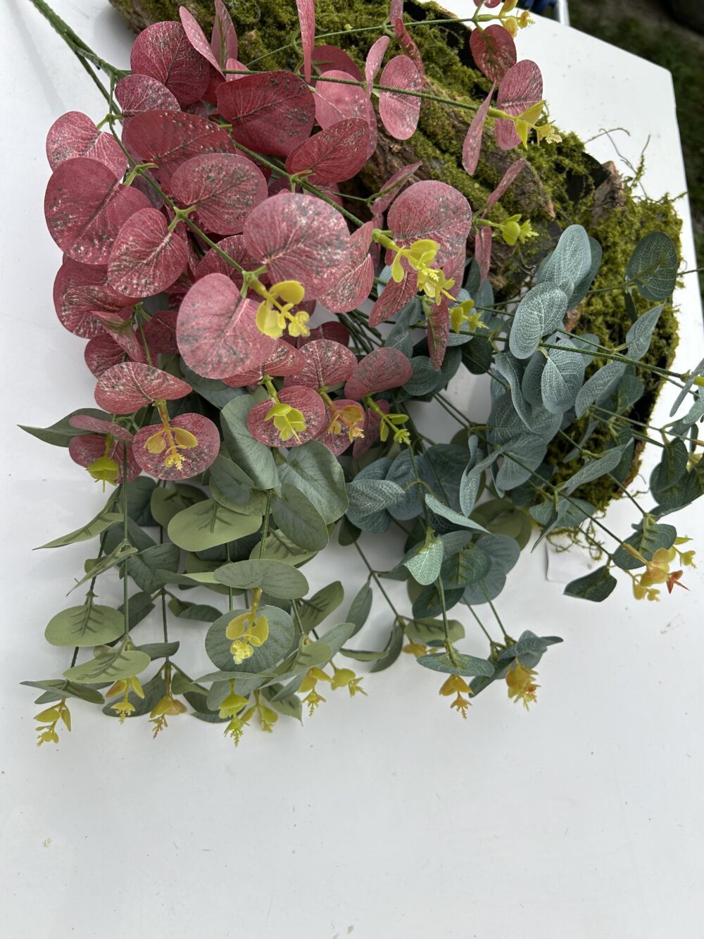 Кущ евкаліпту 12 гілочок зелений - Зображення 2