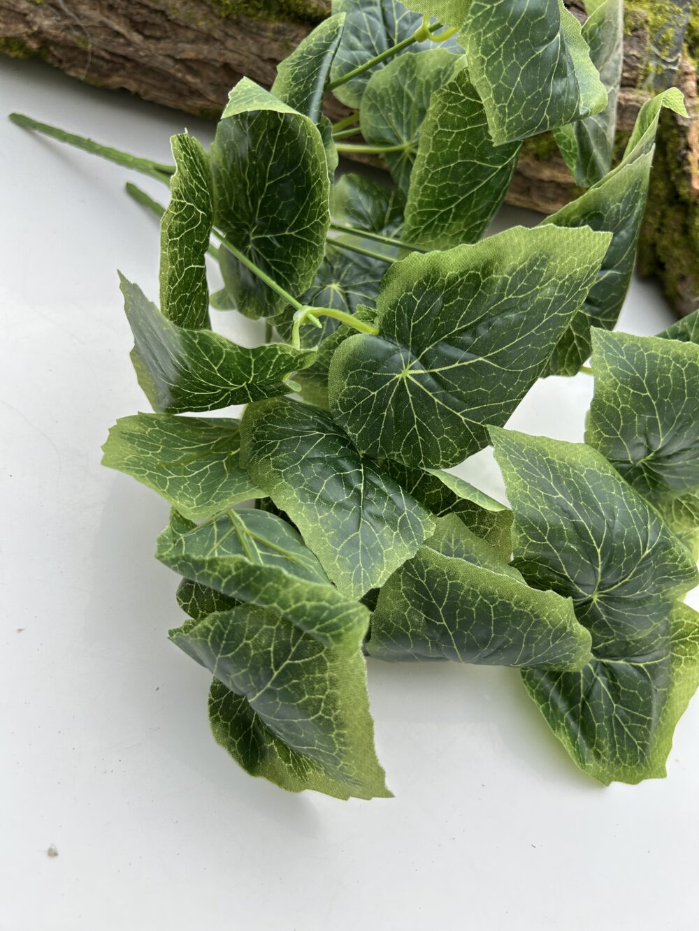 Кущ винограду - Зображення 2