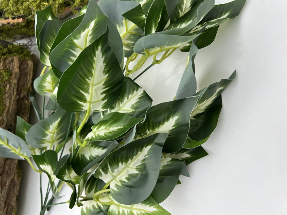 Кущ зелені - Зображення 2