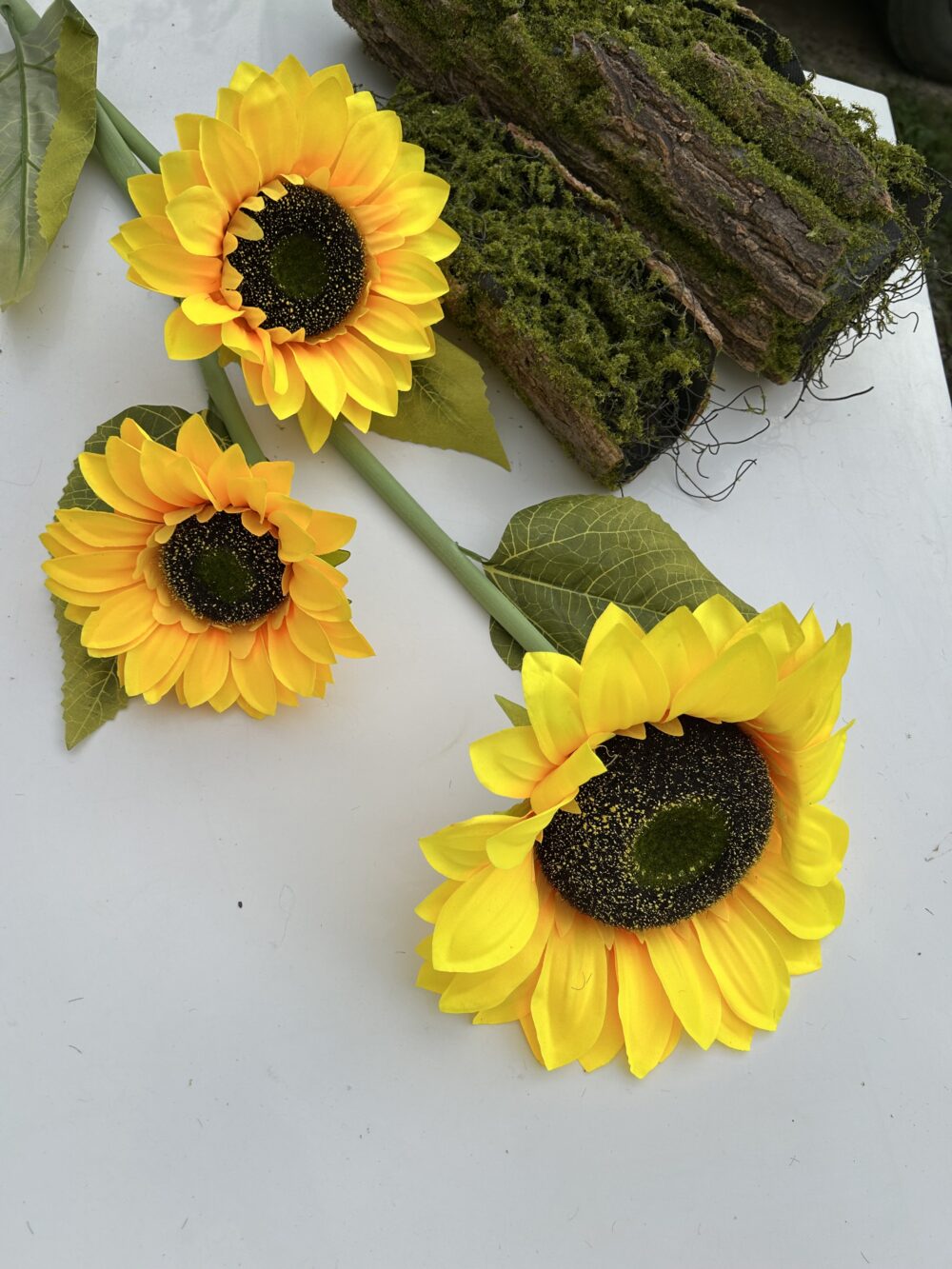 Соняшний великий на 3 голови