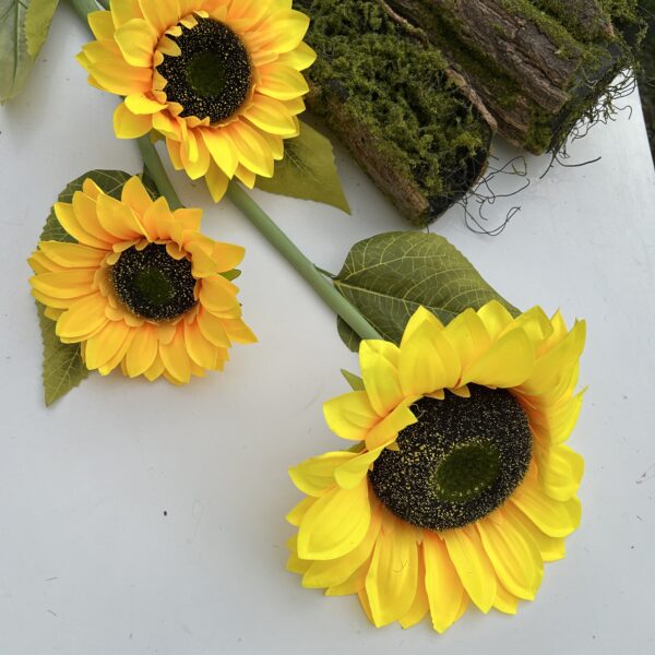 Соняшний великий на 3 голови