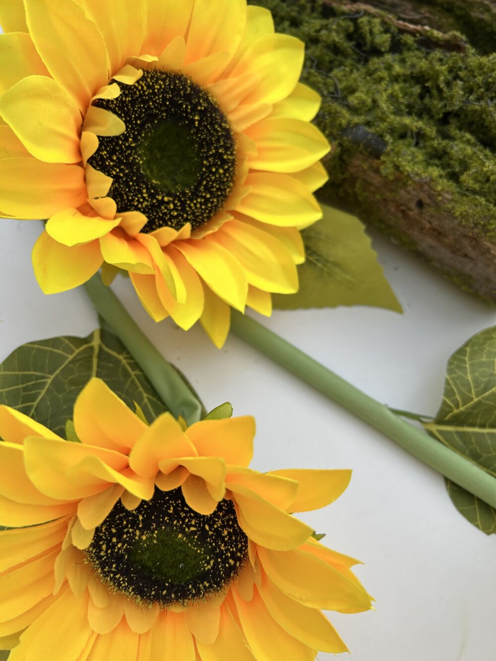 Соняшний великий на 3 голови - Зображення 2