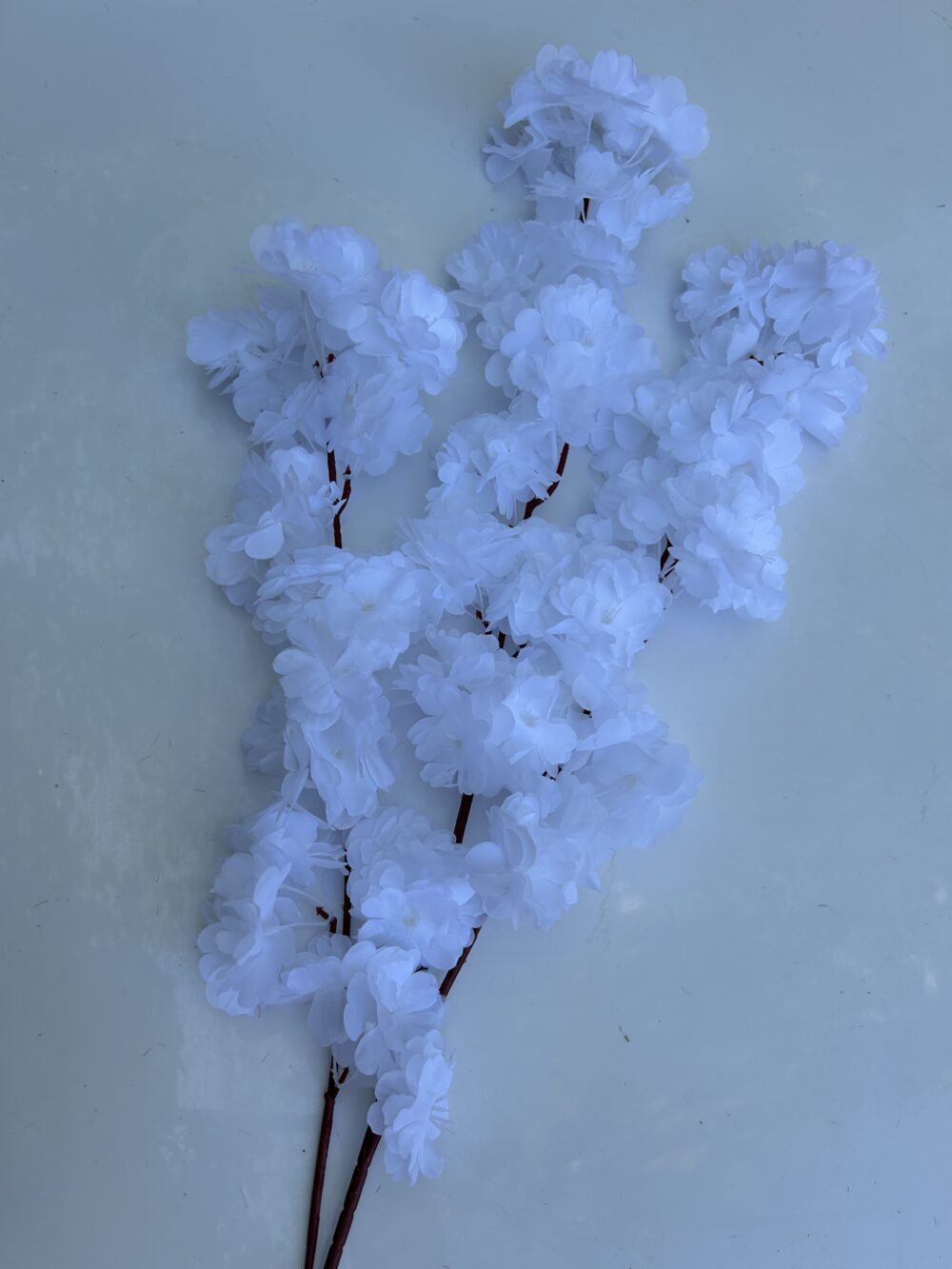 Сакура штучна біла