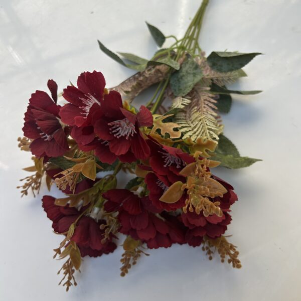 Букет космеї бордо