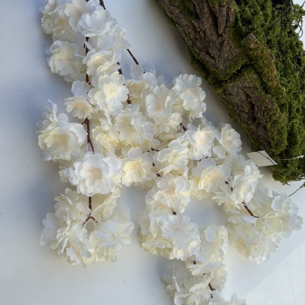 Сакура шампань