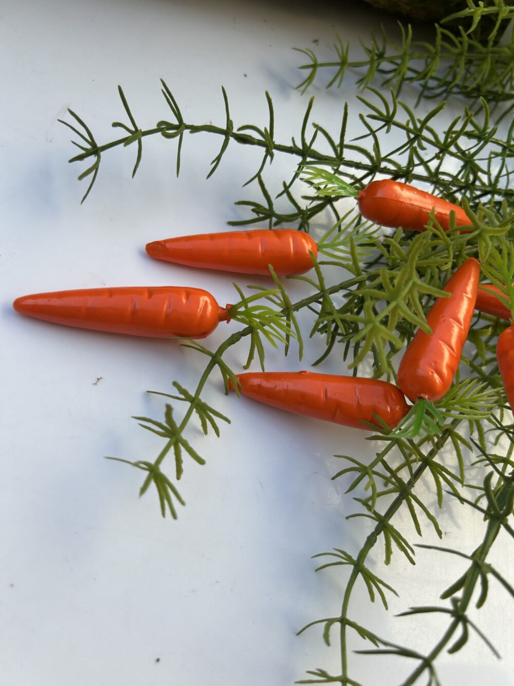 Морква - Зображення 2