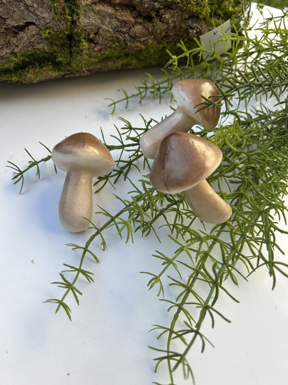 Грибочки білі