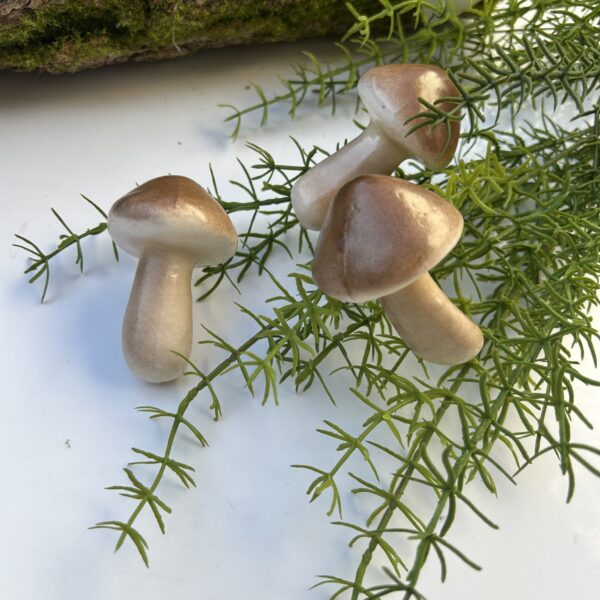 Грибочки білі