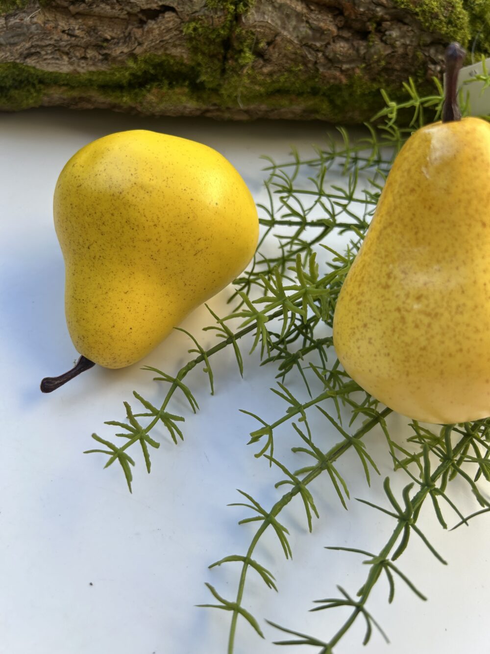 Груша - Зображення 2