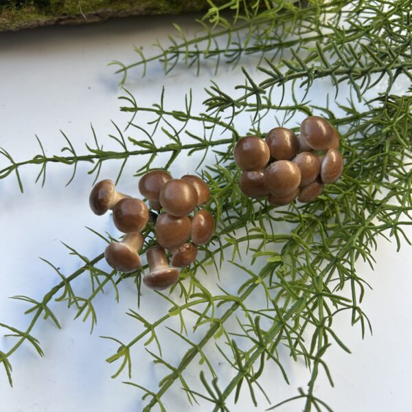 Грибочки опеньки