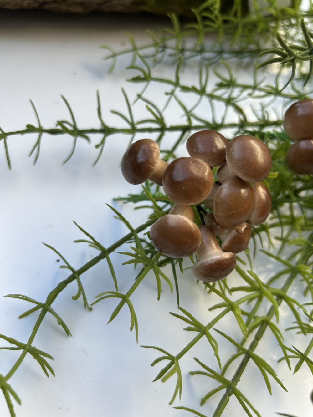 Грибочки опеньки - Зображення 2