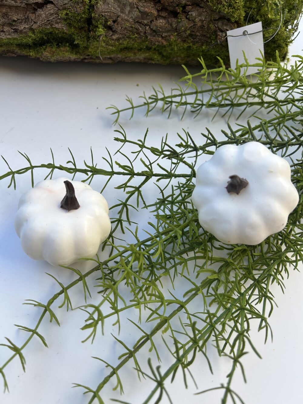 Гарбуз білий міні