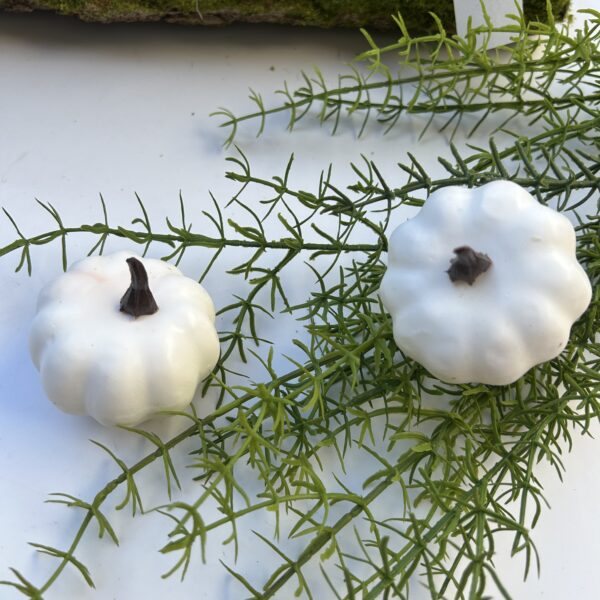 Гарбуз білий міні