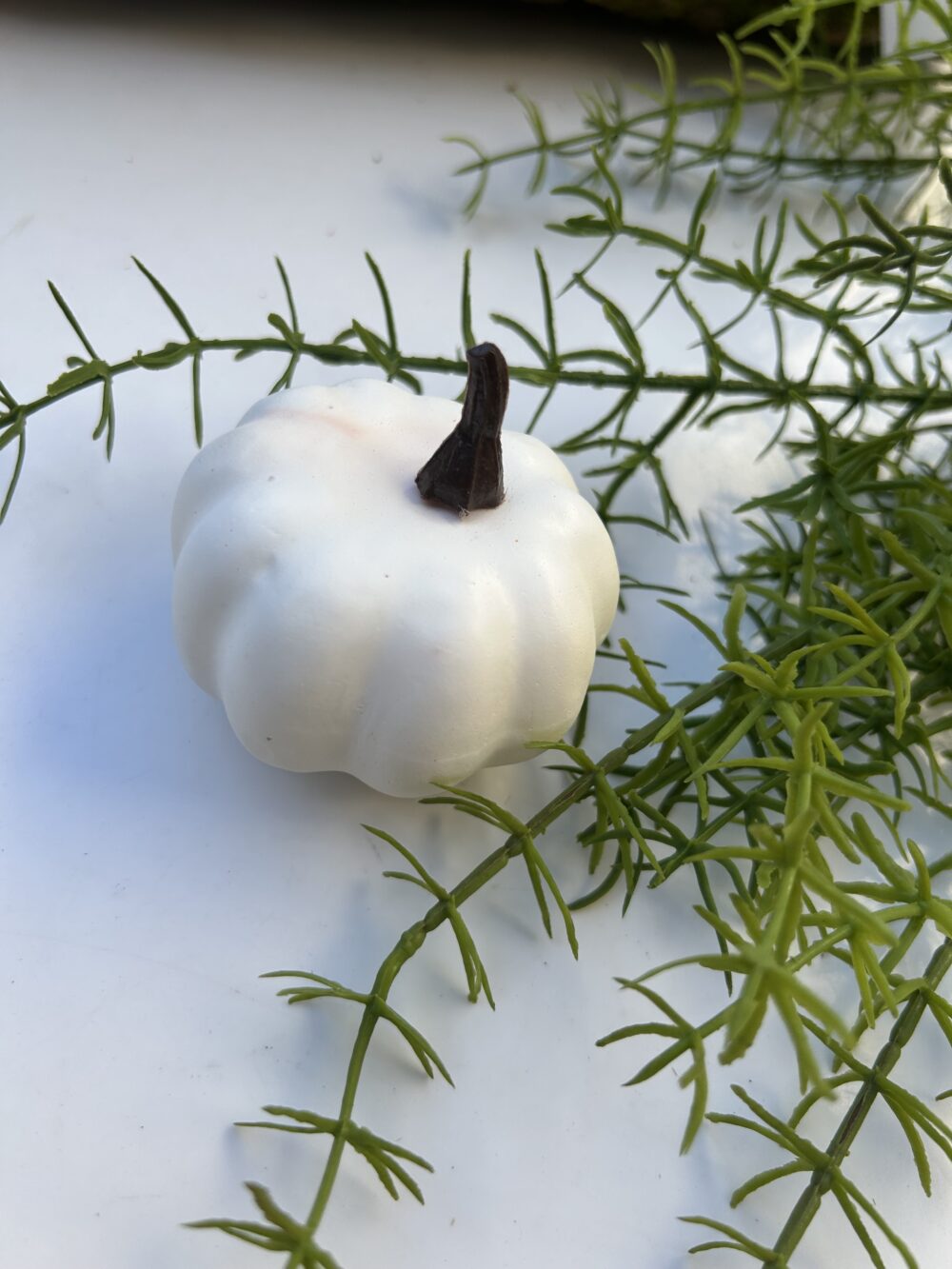 Гарбуз білий - Зображення 2