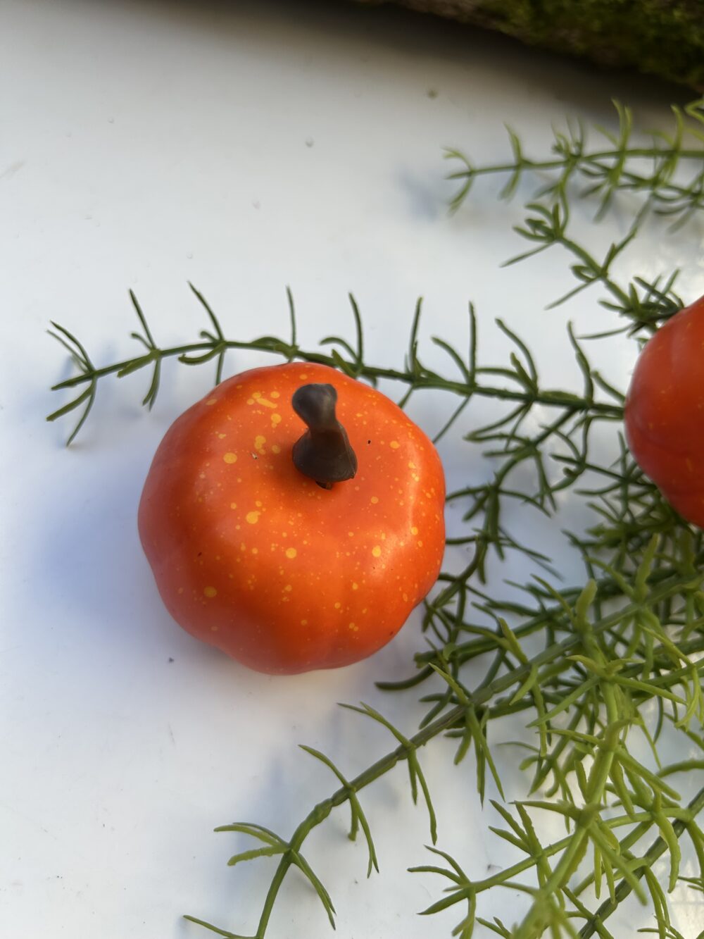 Гарбуз помаранч міні - Зображення 2