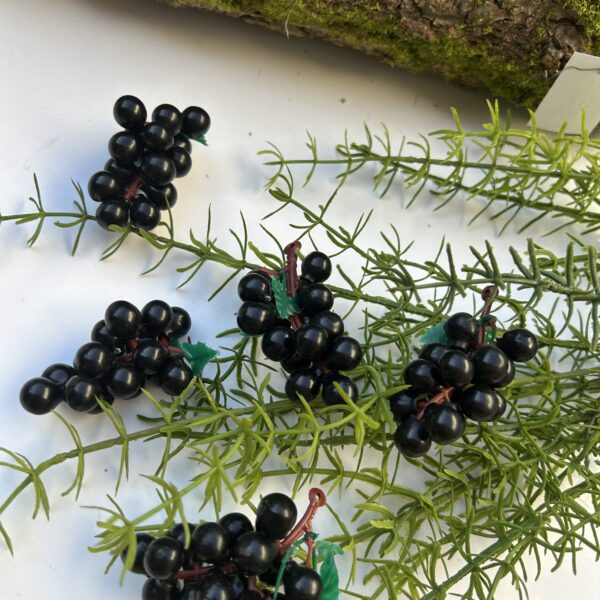 Виноград чорний