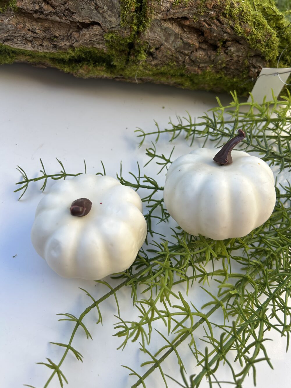 Гарбуз білий