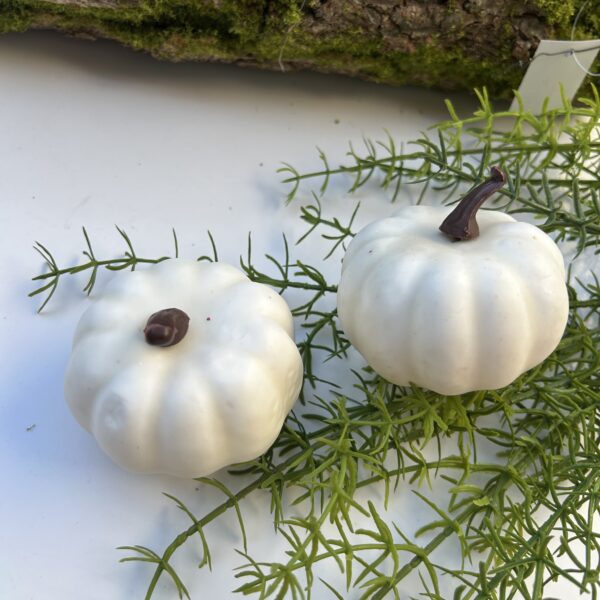 Гарбуз білий