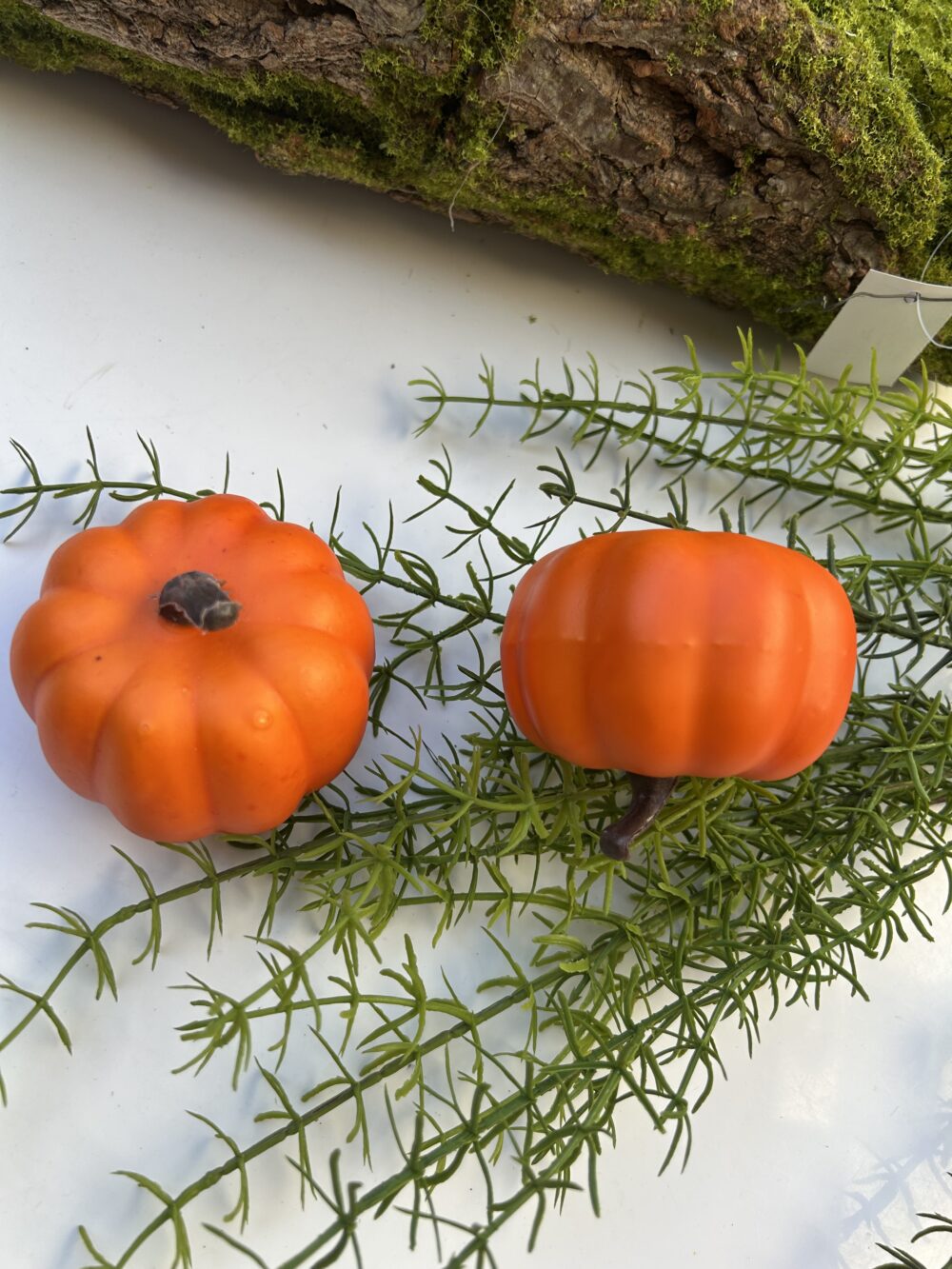 Гарбуз помаранч 2