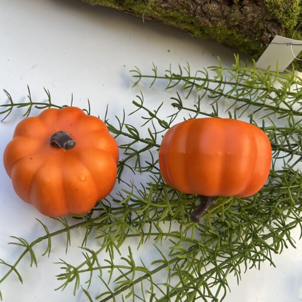 Гарбуз помаранч 2