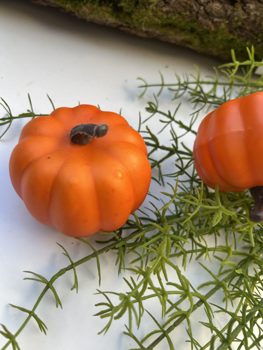 Гарбуз помаранч 2 - Зображення 2