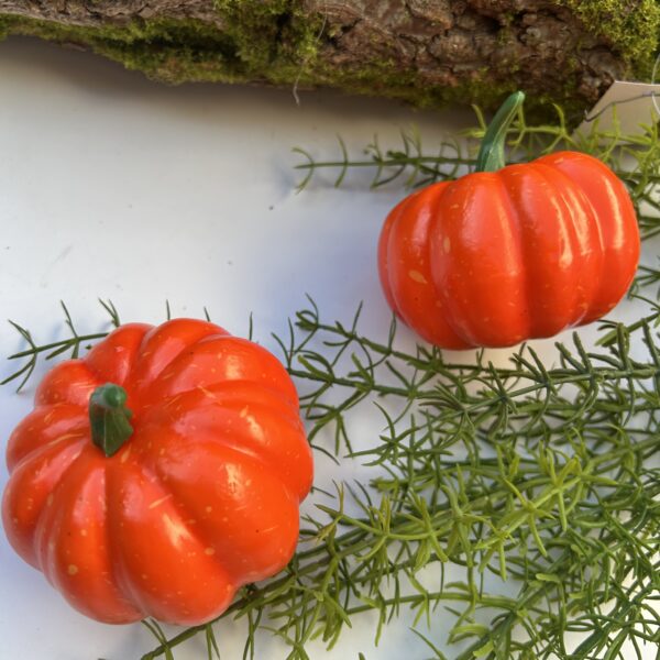 Гарбуз помаранчевий